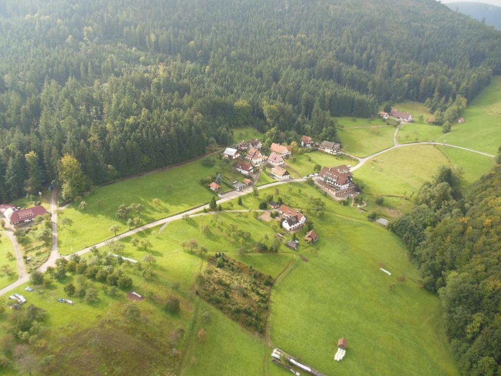 Hoehenhotel & Restaurant Kalikutt Oppenau Exterior photo